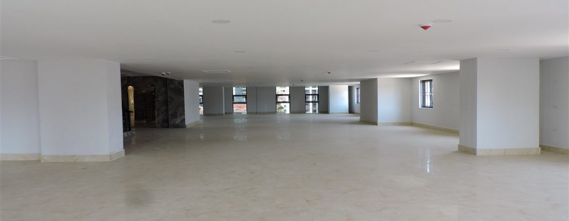 Brand New Whole Building for Rent in BKK1, Good Location for Business (4)