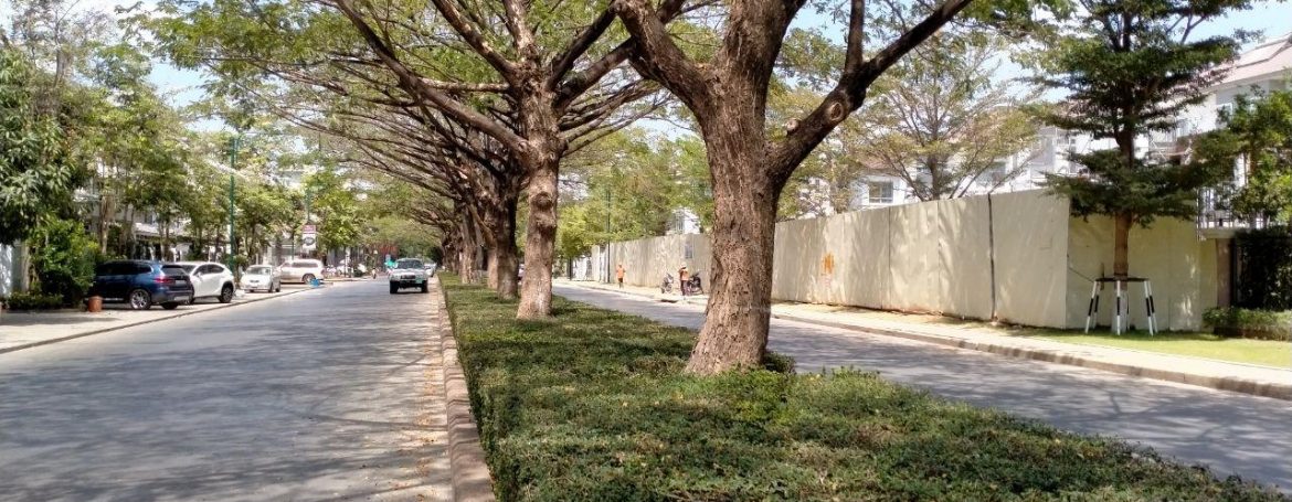 Twin Villa for Sale in Borey Peng Huoth along National Road 1 (3)