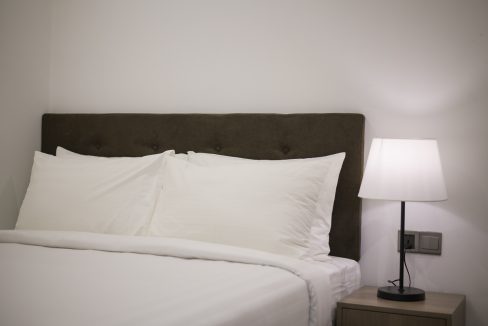 Very Nice Two Bedroom Apartment for Rent in BKK2 Area (11)