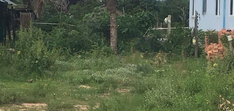 Land for Sale in Siem Reap Province (2)