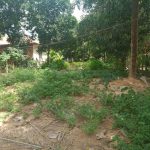 Good Land for Sale Near Night Market in Krong Siem Reap