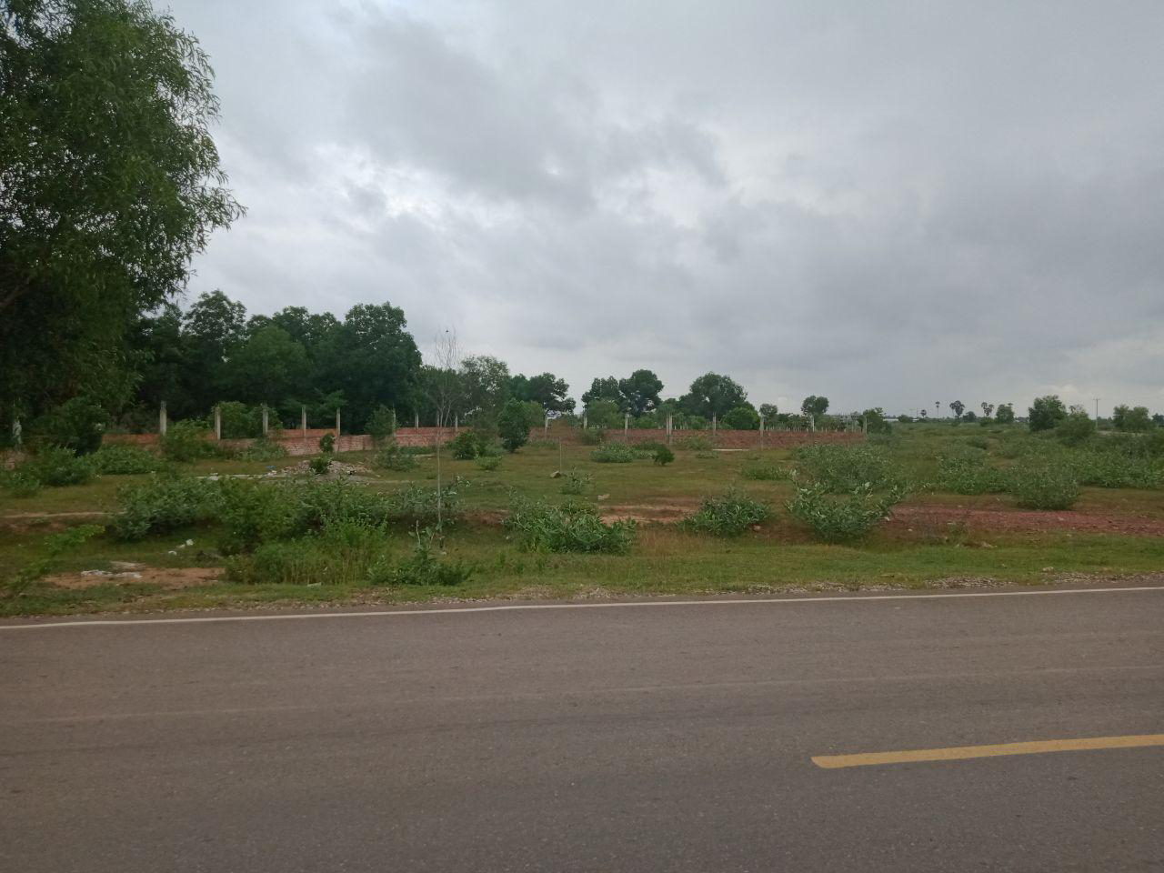 Potential Land for Sale in Bakong Village Siem Reap
