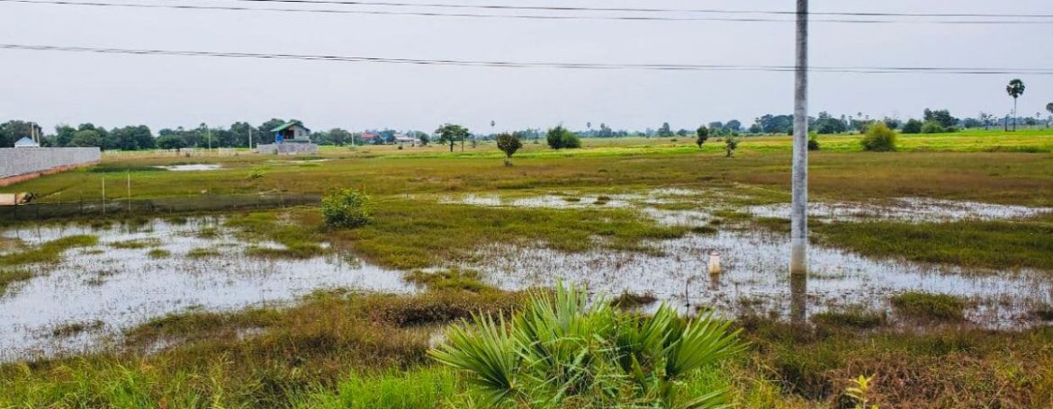Good Land for Sale along National Road 51 (2)