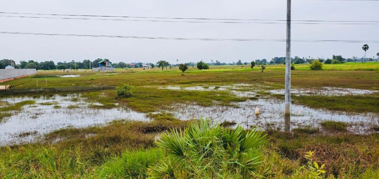 Good Land for Sale along National Road 51 (2)