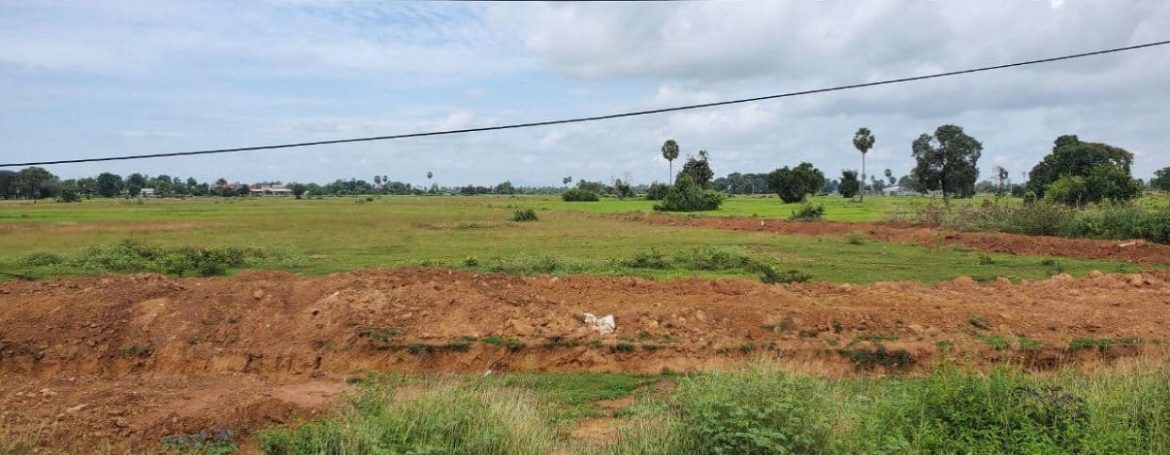 Good Location Land along National Road 51 (8)