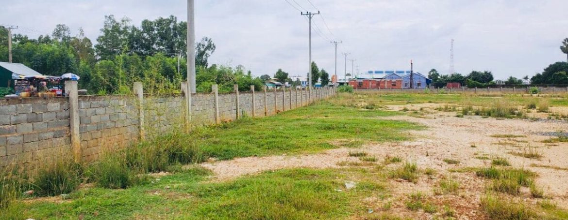 Good Location Land for Sale Near Oudong (5)