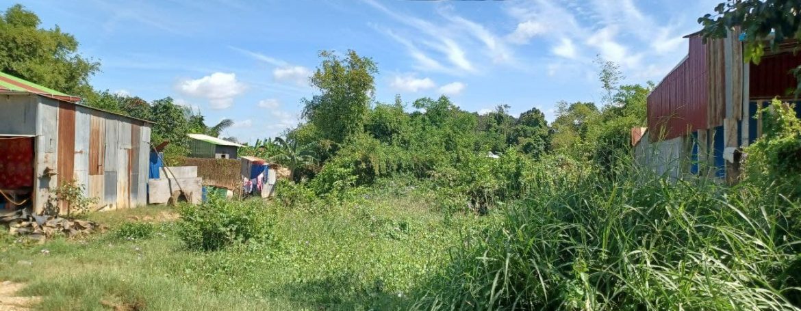 Urgent Land for Sale in Dangkao along Main Road 20A (2)