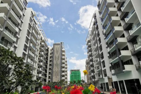 Look for renting a Condo (12)