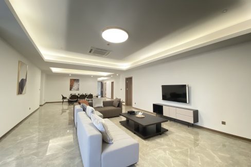 The magnificent villa in the sky for rent near Olympia Stadium (26)