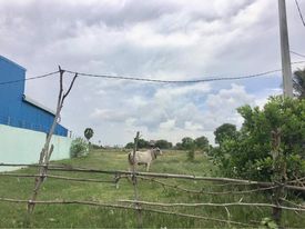 Residential Land for sale at Kandal Province