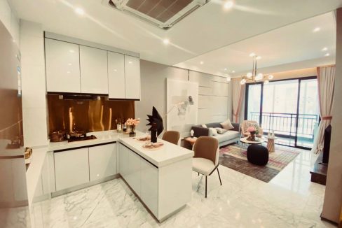 Best Brand New One Bedroom Condo for Sale along Tonle Bassac River in Daun Penh (4)