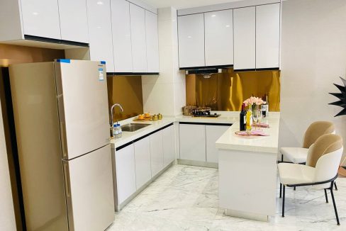 Best Brand New One Bedroom Condo for Sale along Tonle Bassac River in Daun Penh (6)