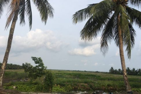 8 Hectares Agriculcure Land for Sale in Sihanoukville Province (1)