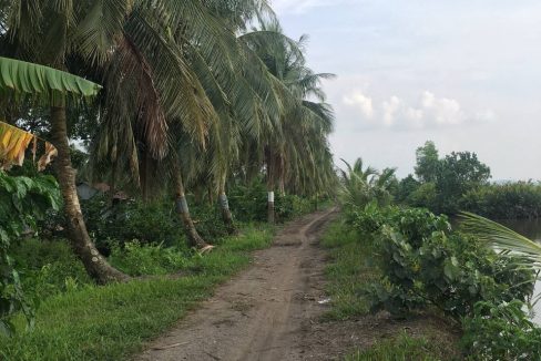 8 Hectares Agriculcure Land for Sale in Sihanoukville Province (4)
