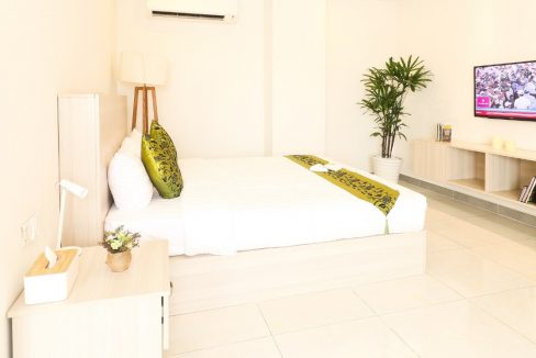 Beautiful Studio Apartment for rent in near Russian Market (2)