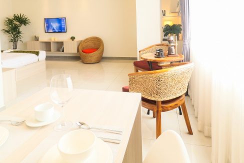 Beautiful Studio Apartment for rent in near Russian Market (3)