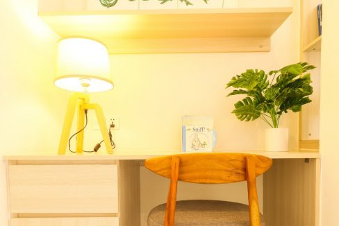 Beautiful Studio Apartment for rent in near Russian Market (4)