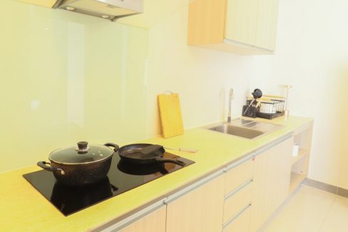 Beautiful Studio Apartment for rent in near Russian Market (5)