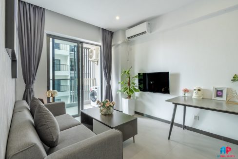 Brand New Apartmen for Rent in Khan BKK 1 (2)