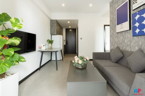Brand New Apartmen for Rent in Khan BKK 1 (3)