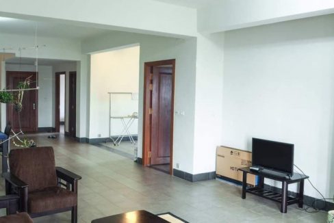 Spacious Apartment Very Nice Location for Rent In Khan TK (4)