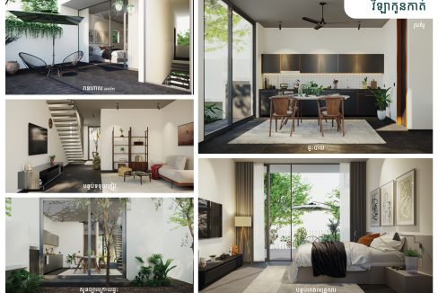 Modern Link Villa for sale in Prek Pnov (2)