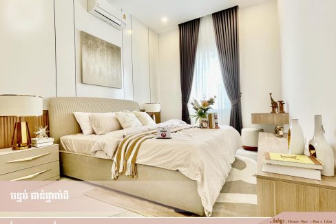 Modern Single Villa for sale in Dangkor (2)