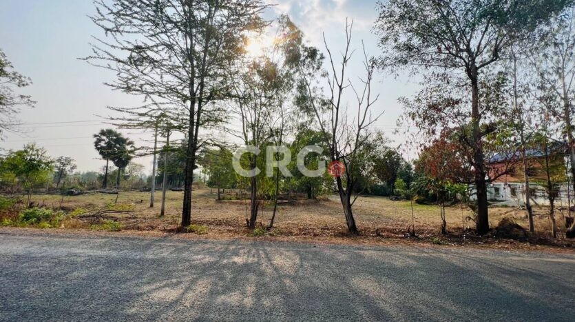 Land for Sale in Siem Reap – 45,000 sqm Near Airport & Road 64