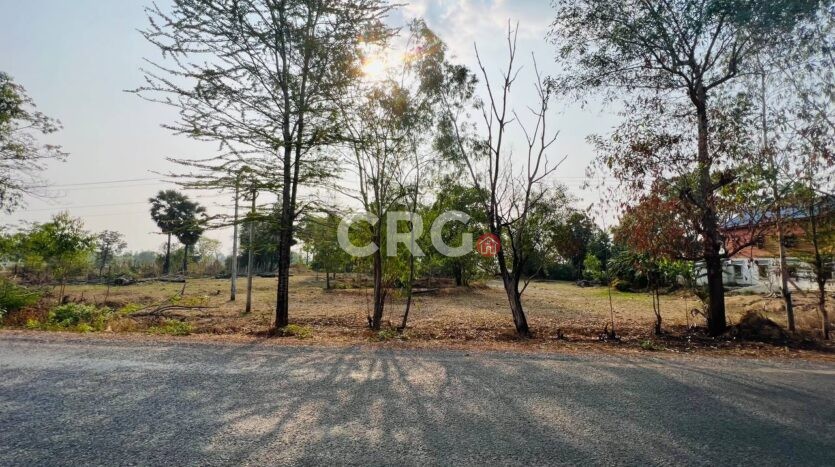 Land for Sale in Siem Reap – 45,000 sqm Near Airport & Road 64