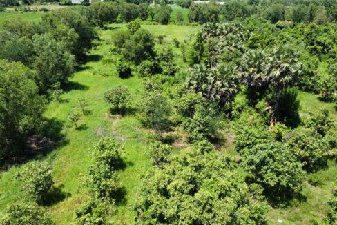 Land for Sale in Preak Doung, Kandal – 40,000m² Near Ring Road 3 Big tree greenery