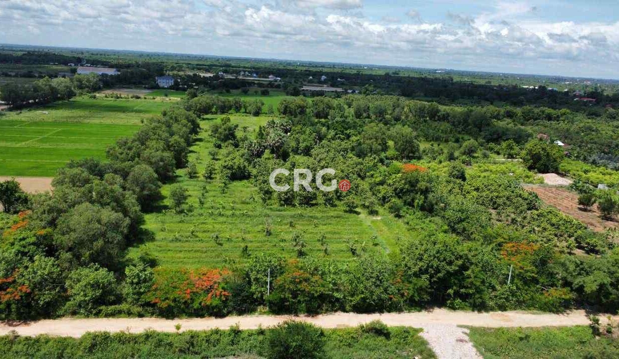 Land for Sale in Preak Doung, Kandal – 40,000m² Near Ring Road 3 Good access