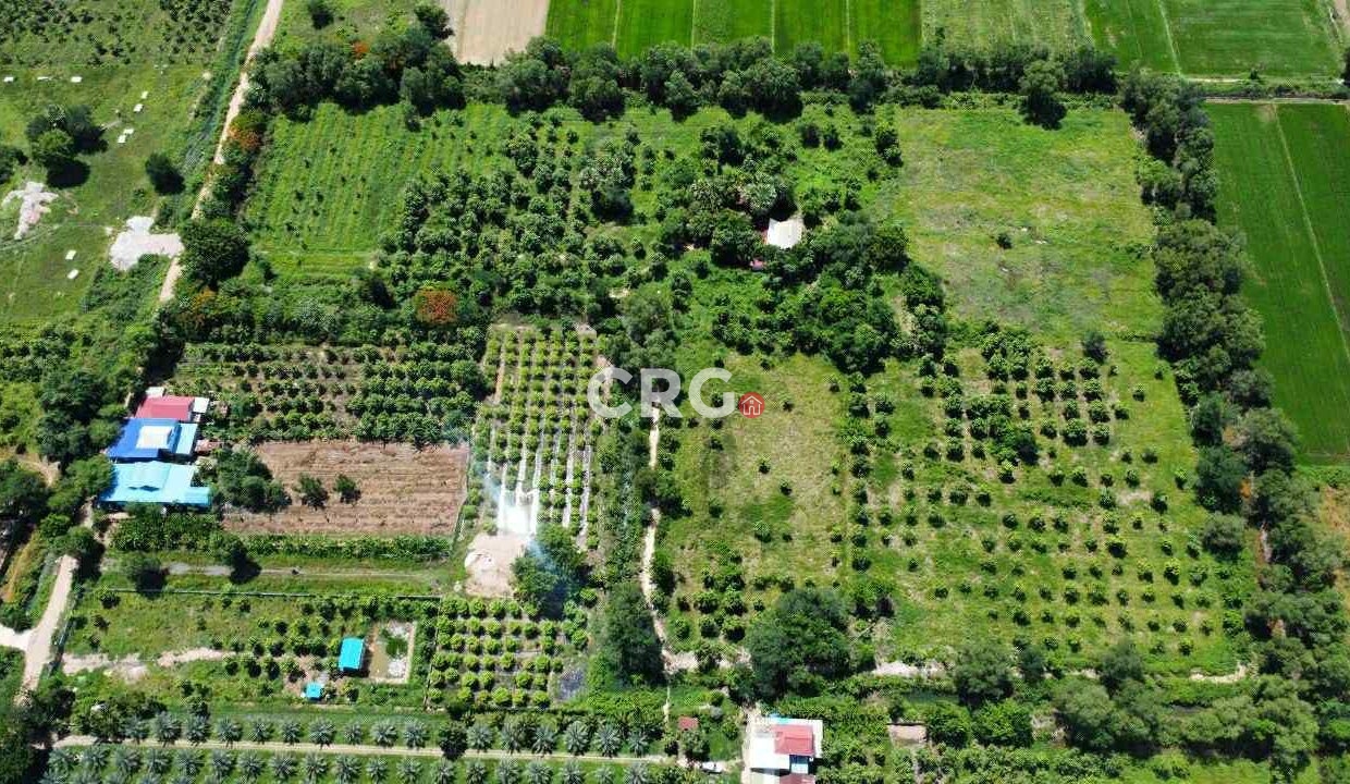 Land for Sale in Preak Doung, Kandal – 40,000m² Near Ring Road 3 opportunity